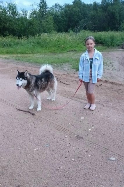 Работа участника: МОУ Сокольническая ООШ 4