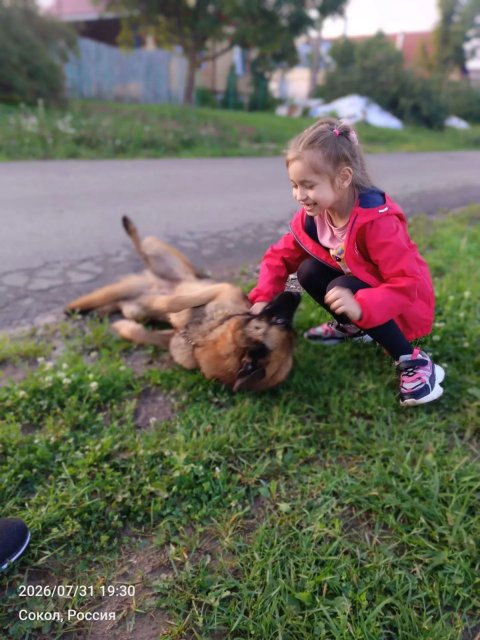 Работа участника: Григоренко Татьяна